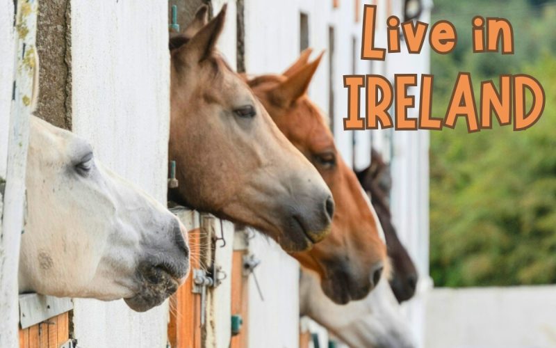 Live in Ireland: Help on a Traditional Smallholding