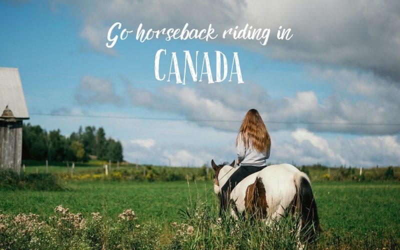 Volunteer on a Ranch in Canada – Experience Sustainable Living