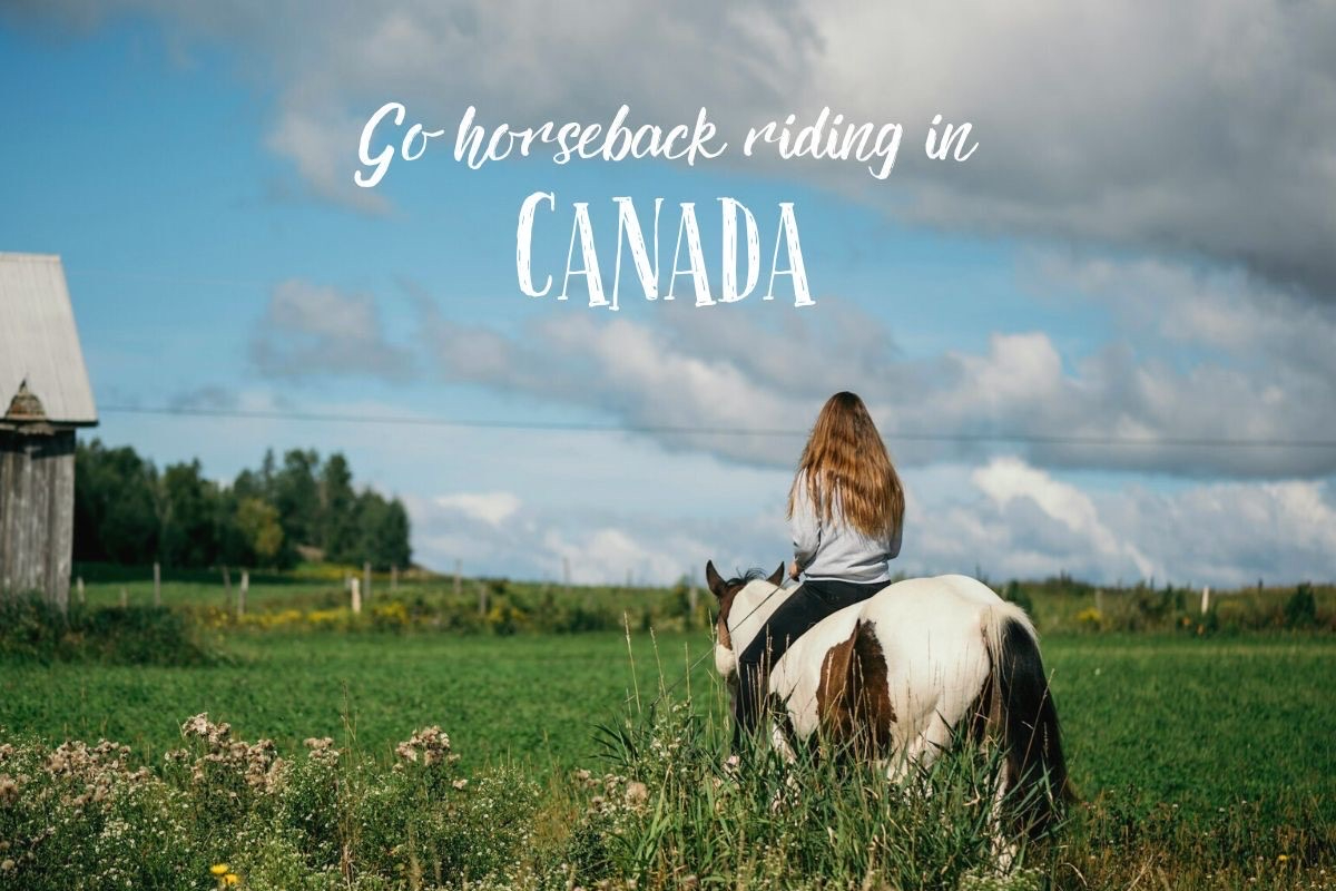 Volunteer on a Ranch in Canada – Experience Sustainable Living