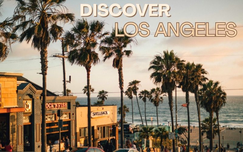 Work Exchange in Los Angeles: Comfortable Stay with Light Help