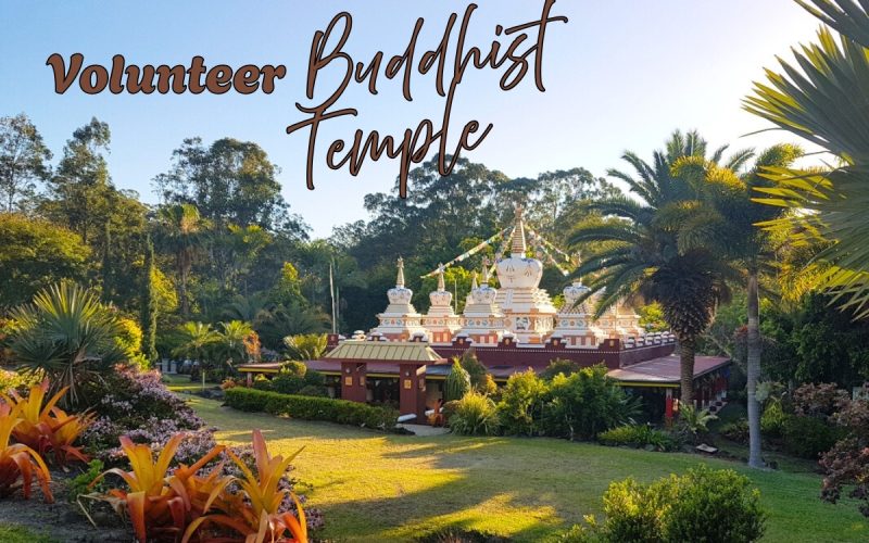 Volunteer at a Meditation Institute in Queensland, Australia