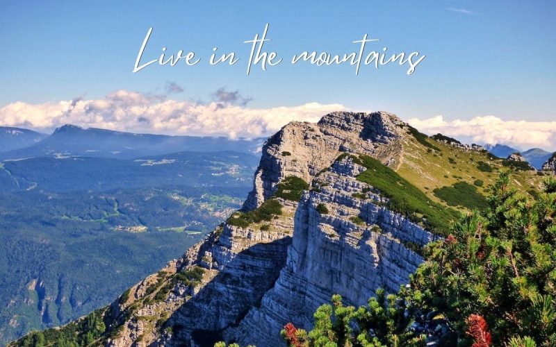 Volunteer on a Farm in Italy | Countryside & Sustainable Living