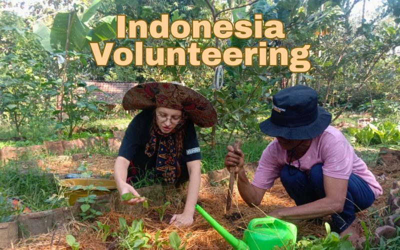 Volunteer Stay in Indonesia at Lajer Pote Permaculture