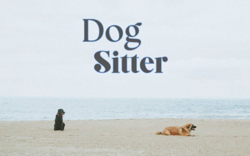 Be a Dog Sitter in Portugal: Long-Term Rural Opportunity