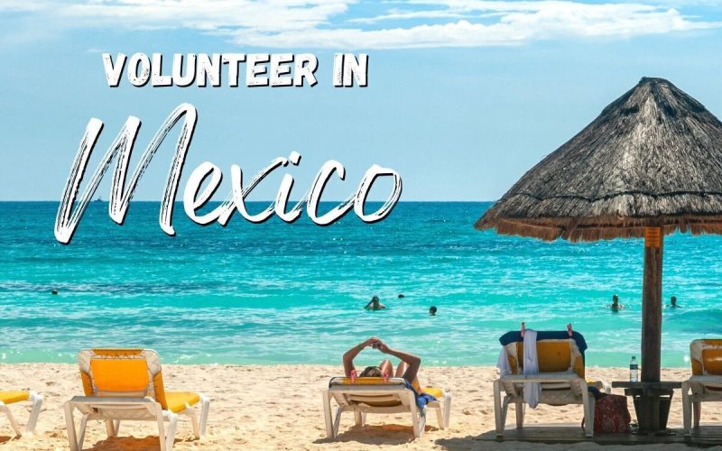 Work Exchange in Mexico | Coastal Property & Garden Projects