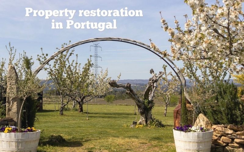 Volunteer in Vila Nova de Gaia – Garden & Home Projects