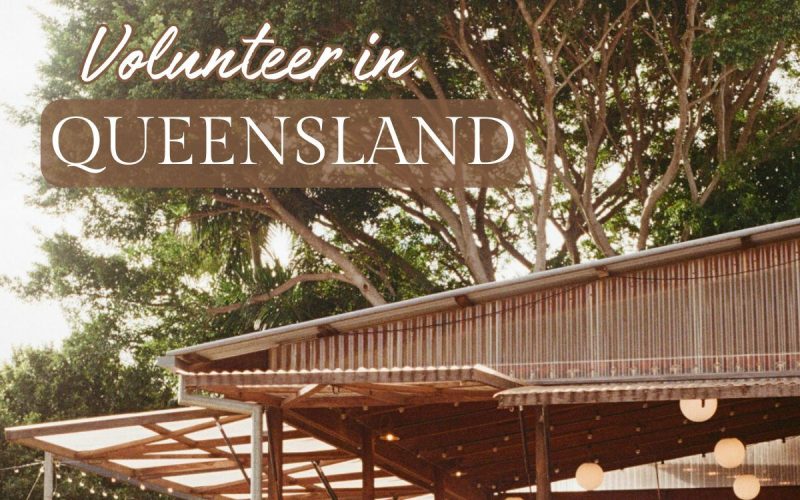 Farm Volunteering in Queensland – Permaculture & Rural Life