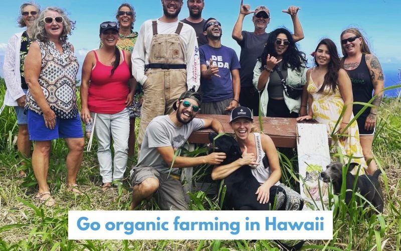 Learn Organic Farming in Hawaii Permaculture Farm Experience