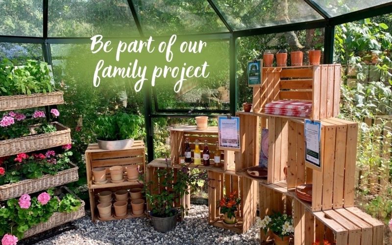 Farmhouse renovation volunteer opportunity in France stay