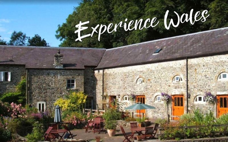 Volunteer on a Working Farm in Wales Coastal Farm Stay