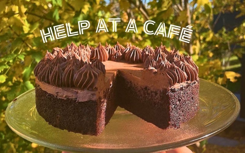 Volunteer in a Coffee House | Witless Bay, Newfoundland