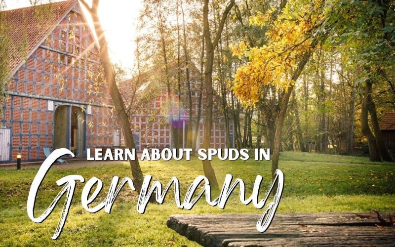Potato Hotel Volunteer in Germany – Hospitality & More