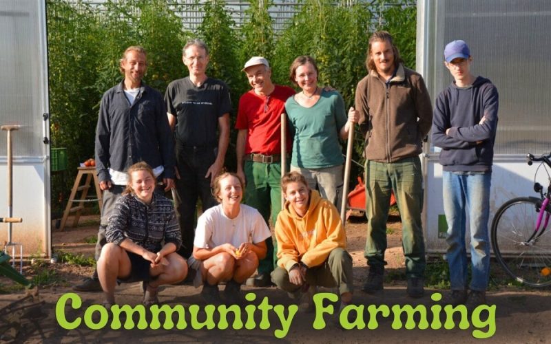 Volunteer on a Farm in Italy Near the Sea