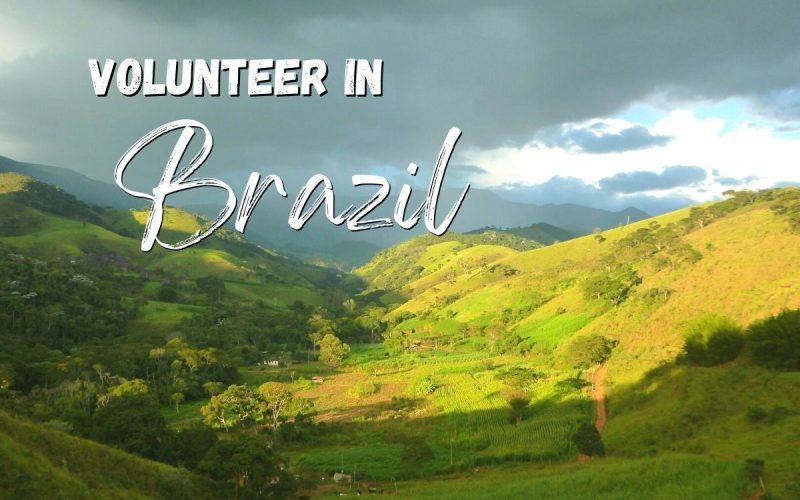 Permaculture volunteering in Brazil | HelpStay