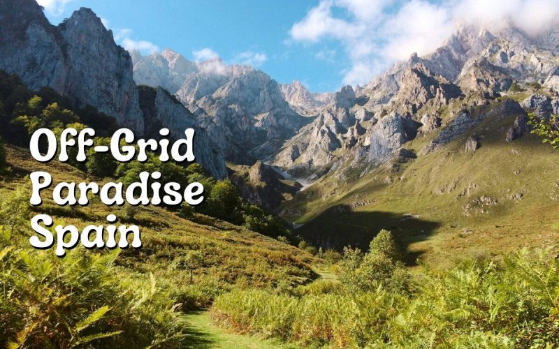 Rewilding project in Andalucía, Spain | Two-Week Stay