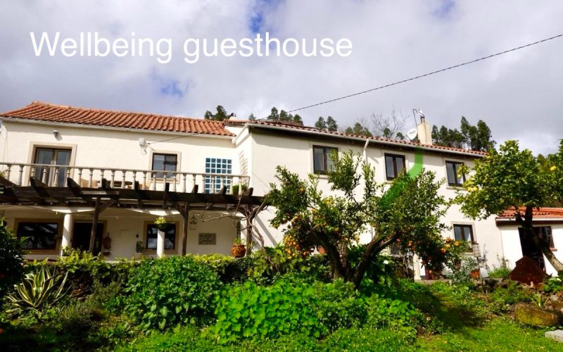 Guesthouse in Portugal: DIY and Gardening Help